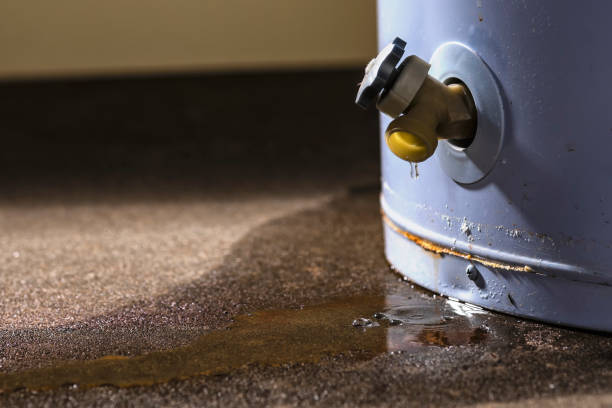Best Fire Damage Restoration  in Broadview, IL