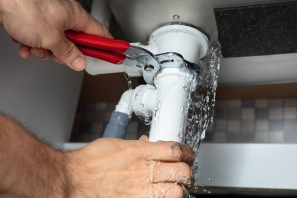 Best Water damage restoration mold remediation  in Broadview, IL
