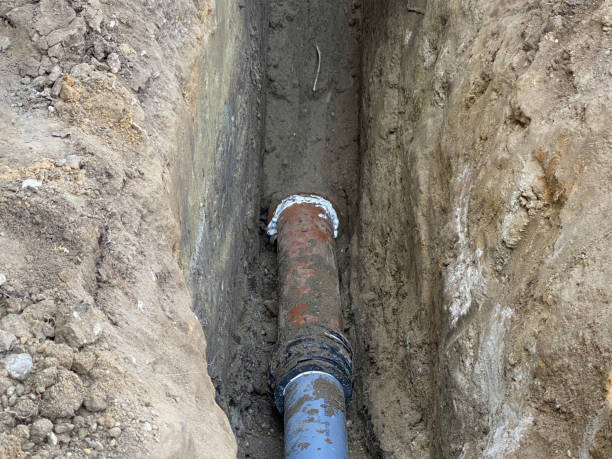 Best Local water damage restoration  in Broadview, IL
