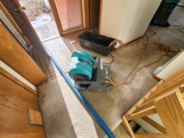 Best Water damage restoration near me  in Broadview, IL