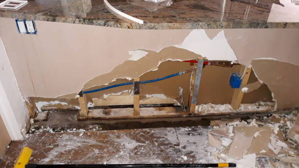 Best Water damage mitigation services  in Broadview, IL