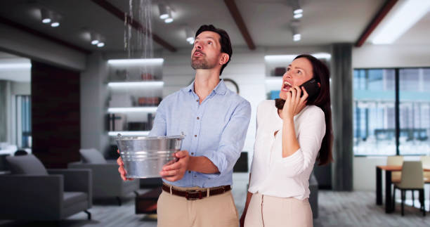 Best 24/7 water damage repair  in Broadview, IL